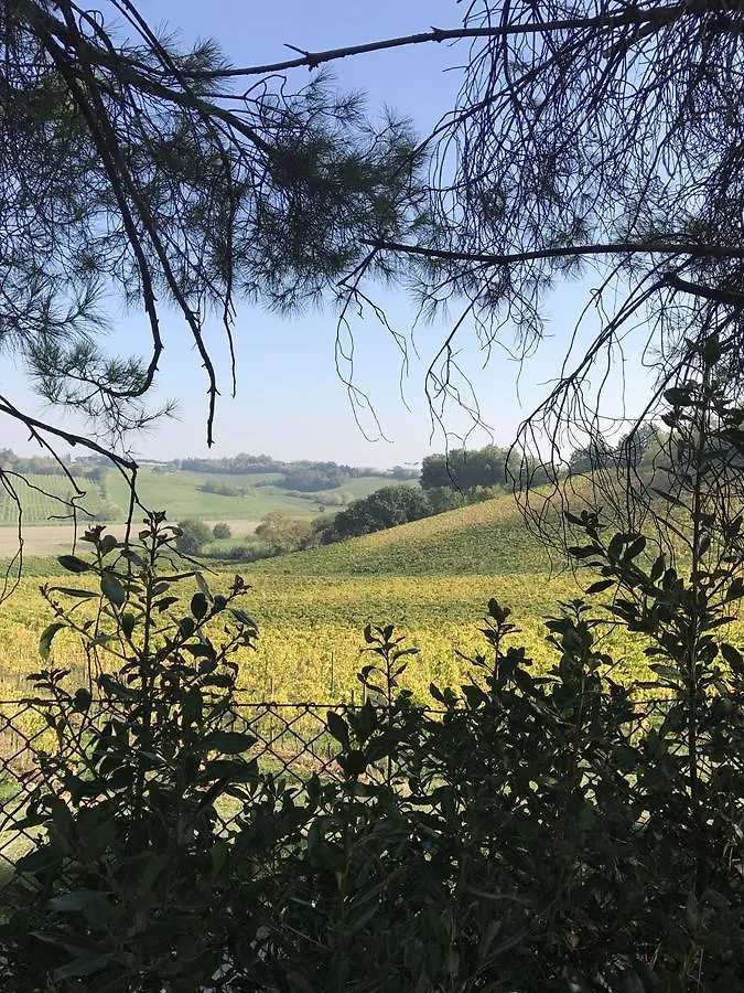 Locanda Gradisca La Panighina